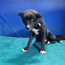 현동보건지소 이미지