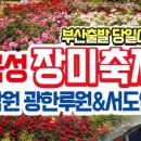 경희관광여행사