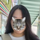 아이린뷰티 - 통영시 | 아이린뷰티