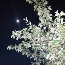 새막골 캠프 이미지