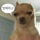 여인천하화장품 - 관악구 양지길 1 | 행복은 멀리 있지 않아요 존나 멀리 있어요