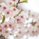 초이스펜션 이미지