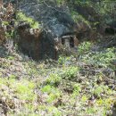 동강농장 이미지