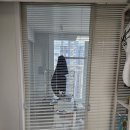 동탄시범한빛길~동탄지성로 | 1동탄 시범한빛마을스위첸 커튼 블라인드 시공후기(커튼 블라인드 추천)