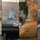 명창농장 이미지