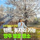 옥정제6어린이공원 | 양주 벚꽃 옥정호수공원 개화상태 돗자리 주차 후기