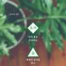 요가숲 - 제주시 고마로 88 | 요가숲