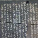 홍화각기 이미지