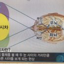 더좋은안경원 이미지