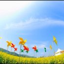 바람개비 이미지