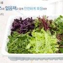 맛나농원