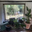 어성전1리 종합복지회관 | 제주 골목카페옥수 | 제주도 옛날 집 감성 카페(내돈내산)