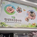 우포2로 | 창녕 우포곤충나라, 곤충체험 주말 나들이 후기