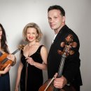 부천아트센터 콘서트홀 이미지