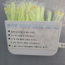 마루한 캠핑장 이미지