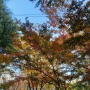 농성광장 이미지