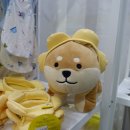 주)오스타코리아