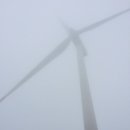 제일목장(2) 이미지