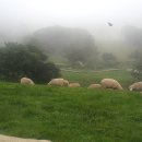 매형목장 이미지