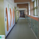 삼성초등학교 이미지