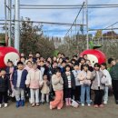 양신초등학교 이미지