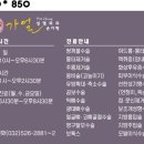 손기학성형외과 네이버블로그
