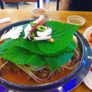 박가뼈다귀 이미지