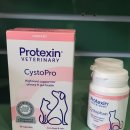 연두동물병원 이미지