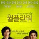 해선플라워 이미지