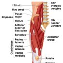 안아픈세상의원 이미지