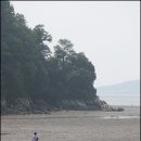 징검다리 - 서귀포시 | 징검다리