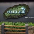 정머리방 | 20230723~24 제주도 탐조 후기