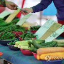 대목2천 이미지