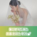 초이스투어 - 부평구 충선로203번길 16 | 예비신부의 울산본식드레스 투어 후기, 드레스 초이스까지