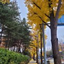 메디컴바인 이미지