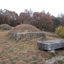 임원준 선생묘 이미지