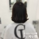 지누디자인 이미지