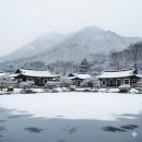 진도 운림산방 Daum카페