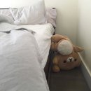 제 직업이요? 홈 프로텍터요.
