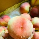 김종달농장 이미지