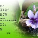 청노루 - 제주시 | 청노루