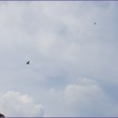 용현자연휴양림 이미지