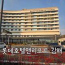 B앤B노래연습장 | 롯데호텔앤리조트 김해 부대시설 수영장 스위트 B형트윈온돌 후기