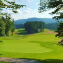 신평남부길 티스토리