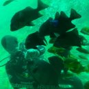 서귀동-36 이미지