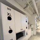 짐피크 PT 헬스 수원인계점 | 운동 루틴에 집중할 수 있었던 인계동pt추천 짐피크 PT 헬스 수원인계점 후기