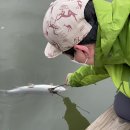 교촌낚시터 이미지