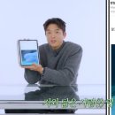 벨루가