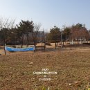 용이동3호공원 네이버블로그