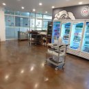 포곡제일빌딩 | [용인/처인구] 용인 포곡읍 회전초밥 전문점 “스시로꼬” 내돈내산 후기